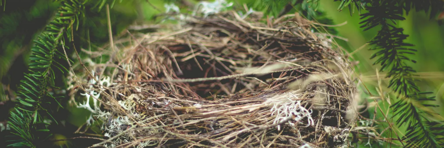 I Do This Thing Called “Whatever I Want”